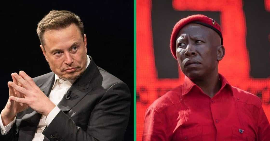Billionaire Elon Musk (left) and EFF leader Julius Malema (right)
