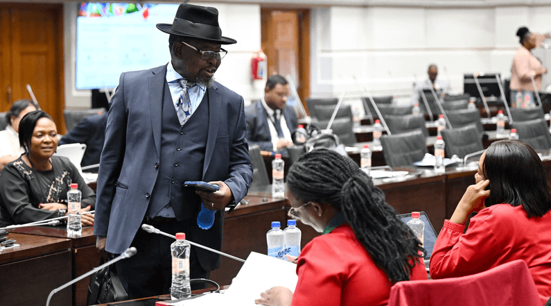 Finance Enoch Godongwana