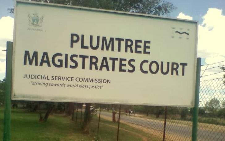 Plumtree Magistrates Court
