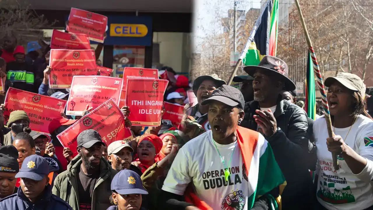 Operation Dudula protests