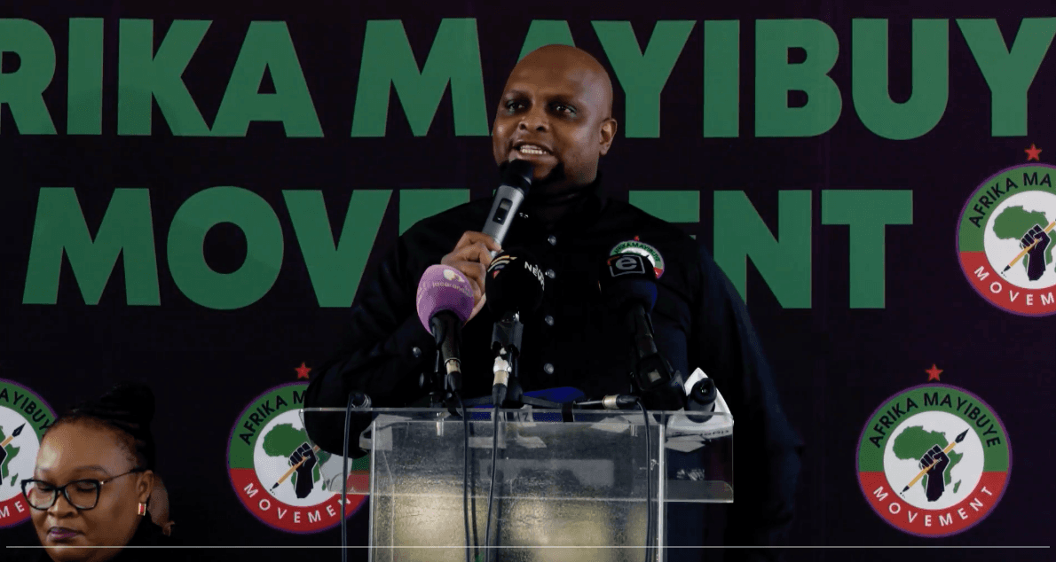 Floyd Shivambu speaks at Afrika Mayibuye Movement launch in Johannesburg