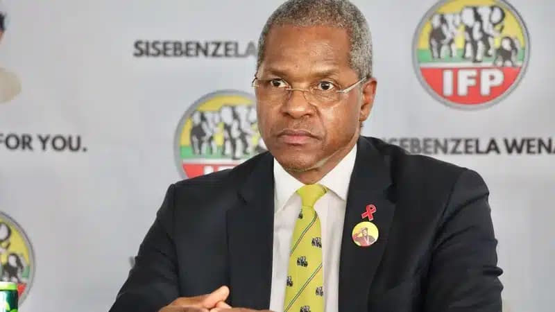 IFP leader Velenkosini Hlabisa want undocumented immigrants with no skills and proper documentation to be deported to their countries