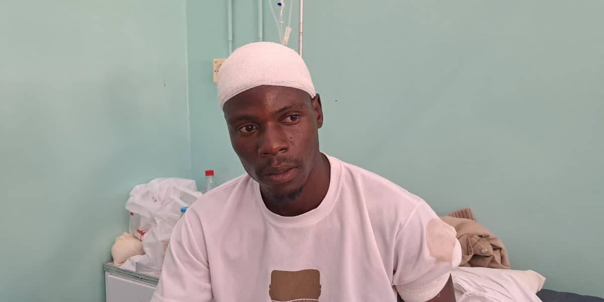 Man Survives Lion Attack in Victoria Falls