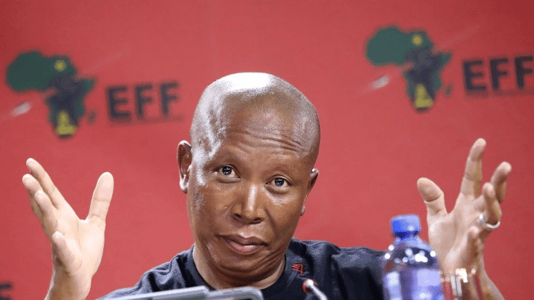 Economic Freedom Fighters leader Julius Malema c
