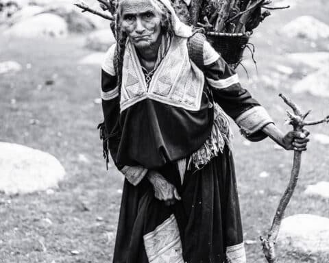 grayscale photography of woman carrying branches 3103375