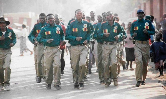 Zanu PF youth militia | Report Focus News