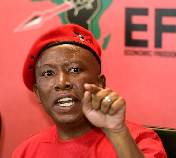 Julius Malema virus warning: 'Don't go to church, you'll die' - Report Focus News