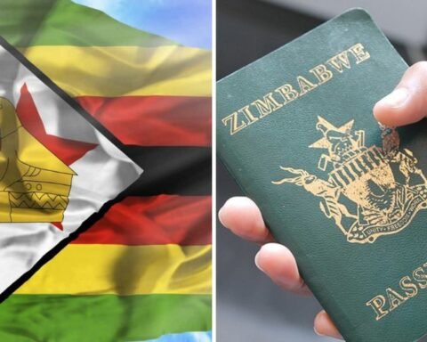 Zimbabwe passport | Report Focus News