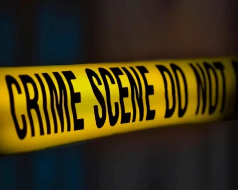 Two women killed in harare | Report Focus News