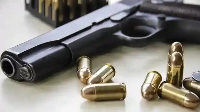 30 guns 1 700 founds of ammunition found on cross border Report Focus News