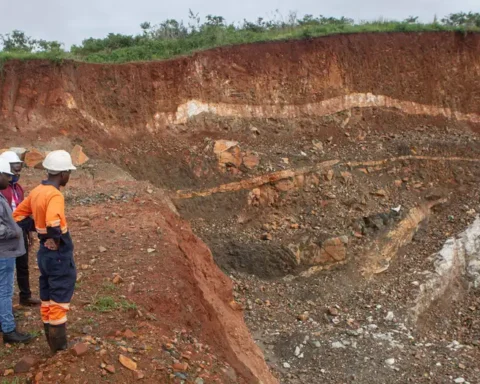 Zhejiang Huayou Cobalt is another key player in Zimbabwe's lithium extraction industry