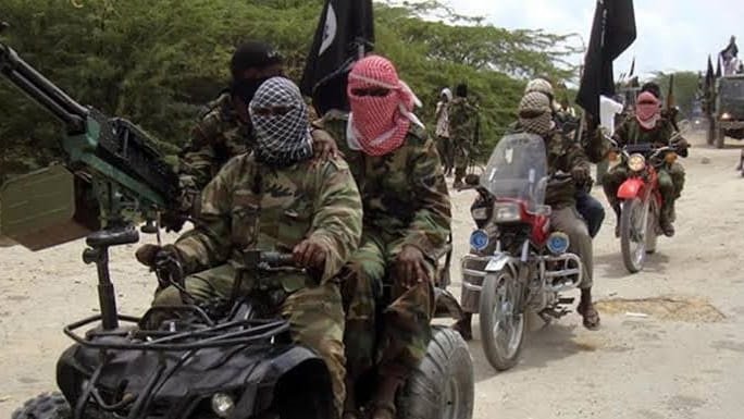 Boko Haram terrorists | Report Focus News