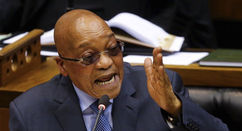 Jacob Zuma | Report Focus News