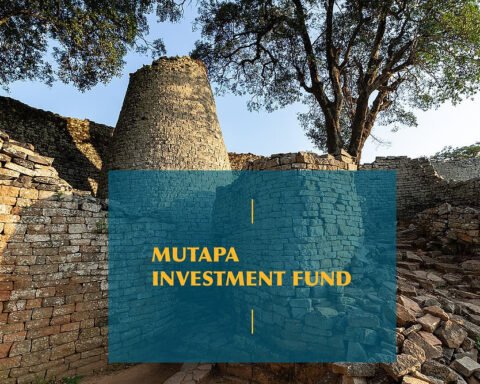 Mutapa investment management 1 | Report Focus News