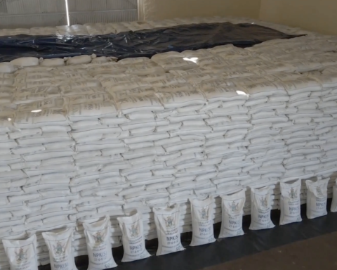 Russia Delivers Over 23,000 Tons of Free Fertilizer to Zimbabwe to Combat Food Crisis