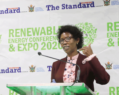 Energy and Power Development ministry permanent secretary Gloria Magombo said the El Niño induced drought had had adverse effects on the countrys electricity generation capacity