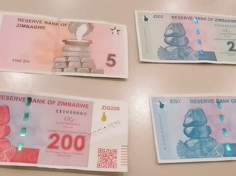 Zimbabwe New Currency "ZiG"