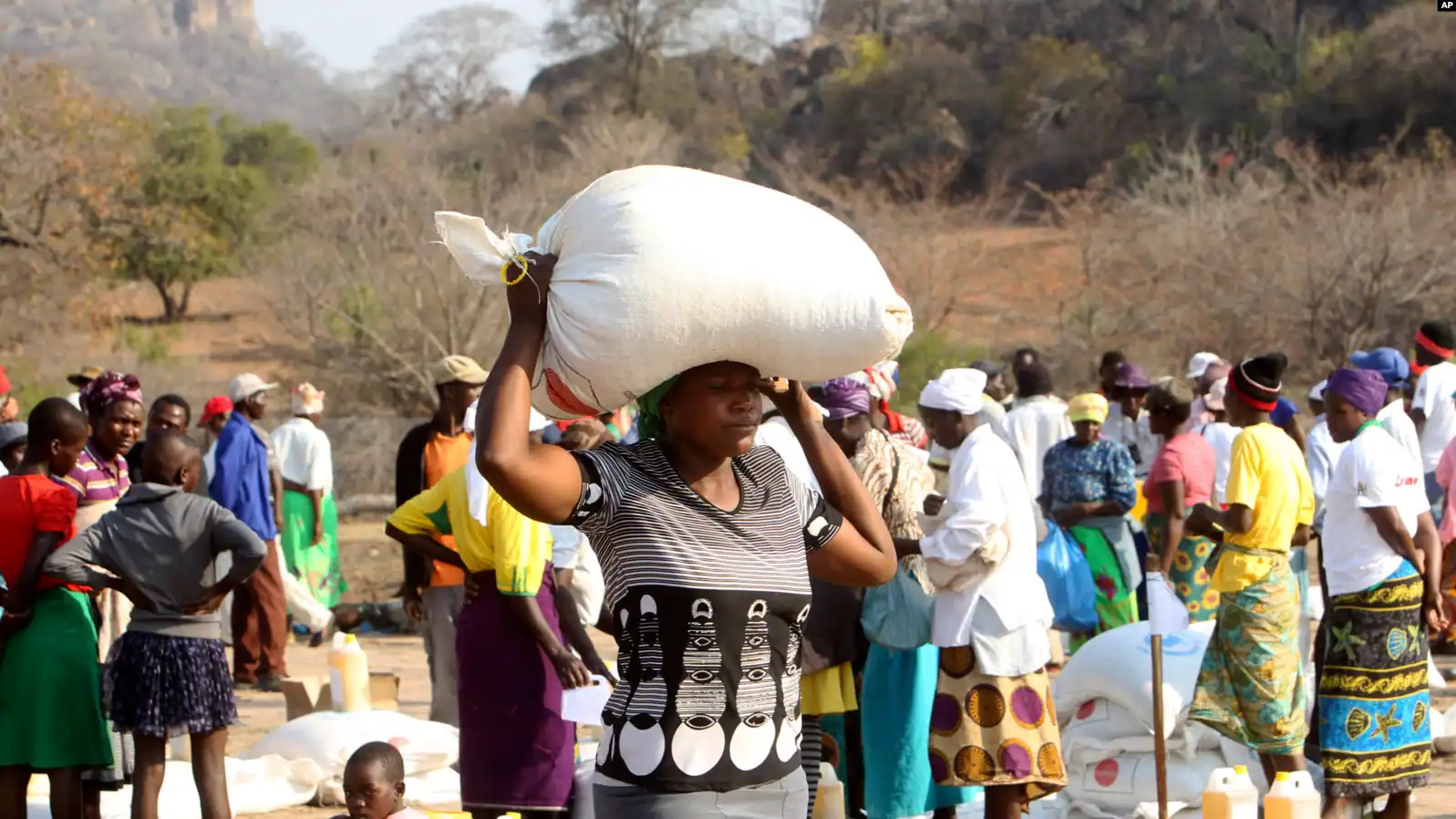 Zanu PF party was denying food handouts to opposition party supporters | Report Focus News