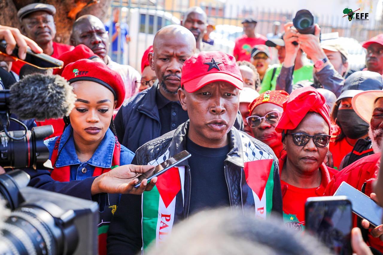 Julius Malema | Report Focus News