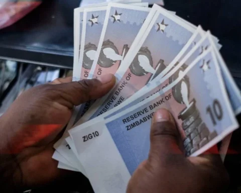 zimbabwe zig currency | Report Focus News
