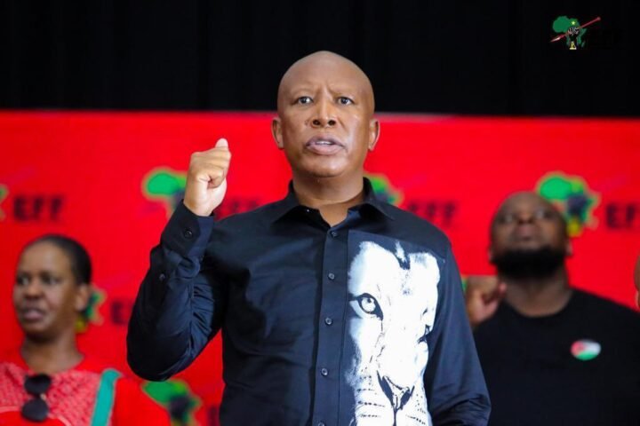 South Africa Malema Brands Zuma S Party Spaza Shop With Expired Food Report Focus News