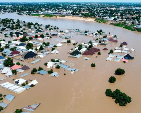 Massive Flooding in Borno State Report Focus News