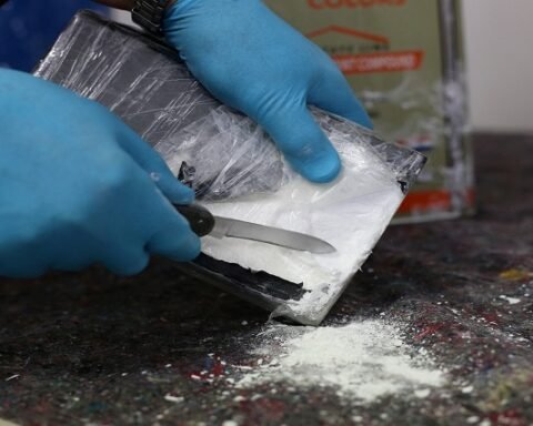 Police seize R80m cocaine haul at Durban port