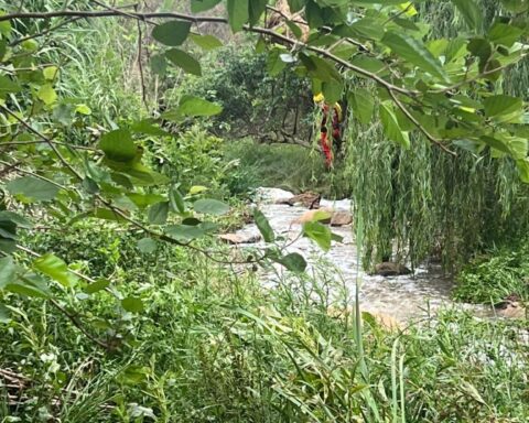 The scene of the drowning incident near Hartbeespoort.